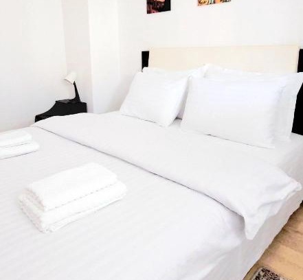 Sector 4 Apartment | Brancoveanu Apartament's