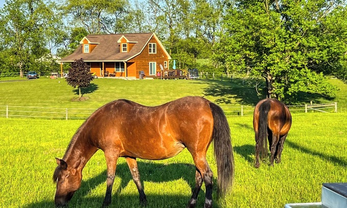 West Milton House | BRAND NEW! Modern Tiny House @ The Horse Stables