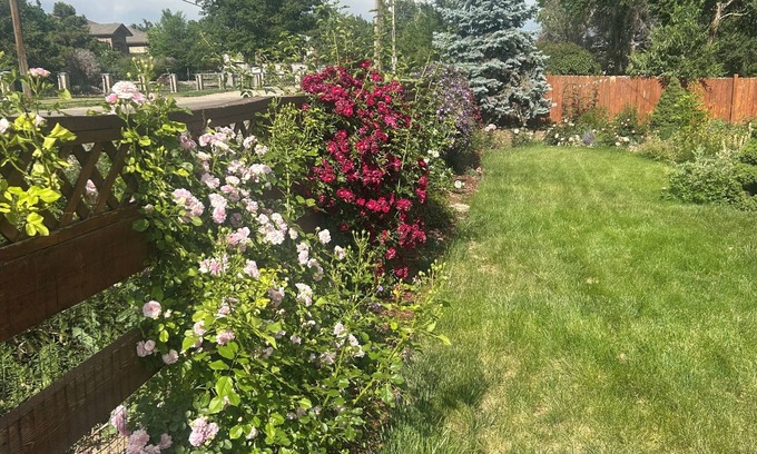 Lamar Heights Area House | Brilliant 4-bedroom house with AC in Arvada! Family and Pet friendly,