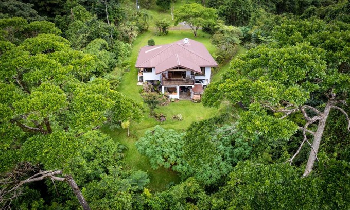 La Tigra House | Bromelia House