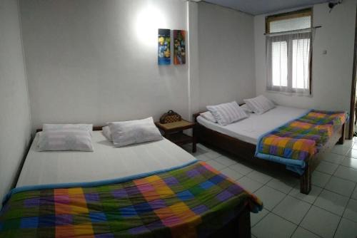 Tosari House | Bromo Tanjung