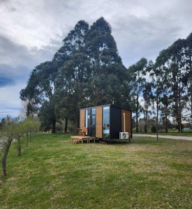 Timaru House | Brynderwyn Hill of Oaks by Tiny Away