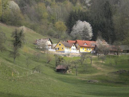 Schwarzautal House | Buchschneider - Ferienhaus Maier - Landhof