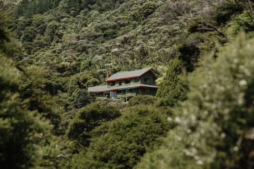 Coromandel Bed & Breakfast | Buffalo Lodge