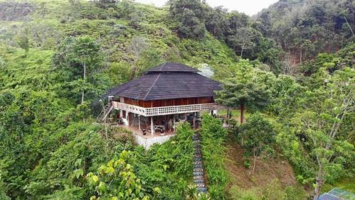 Bukit Lawang Resort | Bukit Lawang Hill Resort