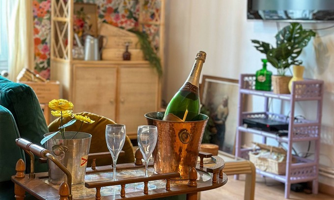 Epernay Apartment | Bulle Appart 1 Epernay city center (new design 2024) View on a green park !