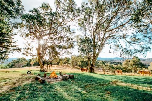 Candelo House | Bumblebrook Farm Motel