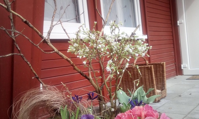 Themar Cabin | Bungalow 2 am Waldhof - feel at home in nature