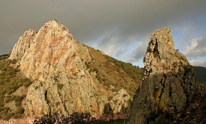 Malpartida de Plasencia Other | Bungalows Camping Parque Nacional de Monfragüe