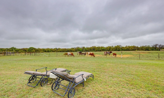 Comanche County Apartment | Bunkhouse on Working Texas Ranch w/Horses & Cows!