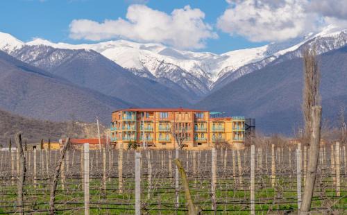 Kvareli Hotel | Burki Castle & Cellar