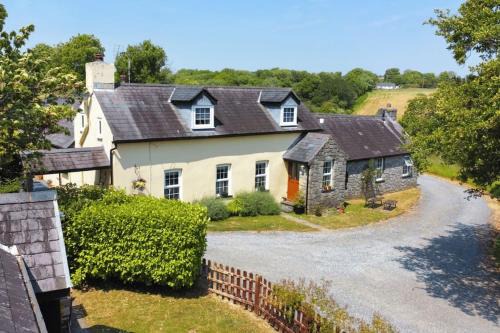 Saundersfoot House | Buttercup