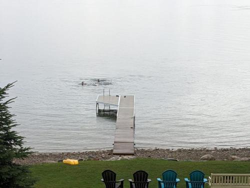 Wiarton House | By The Bay Cozy Waterfront Retreat
