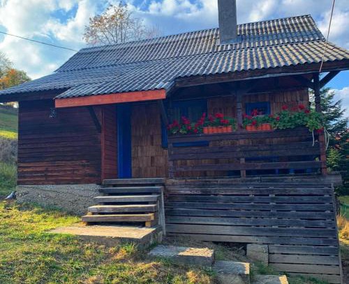 Borsa House | Căsuța Măriei