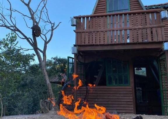 Sao Sebastiao Other | Cabana Nature Camp