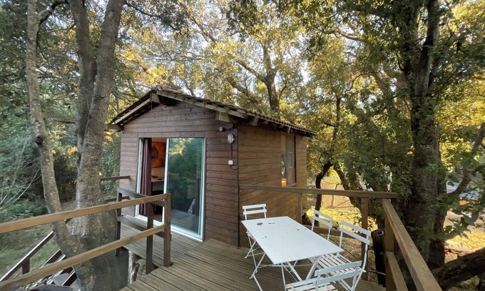 Sisco Cabin | Cabane perchée Casa Luna - Cap Corse - Domaine 1001 nuits