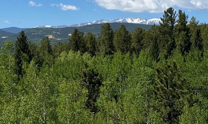 Black Hawk Cabin | Cabin at Pickle Gulch- a charming cabin with mountain views.