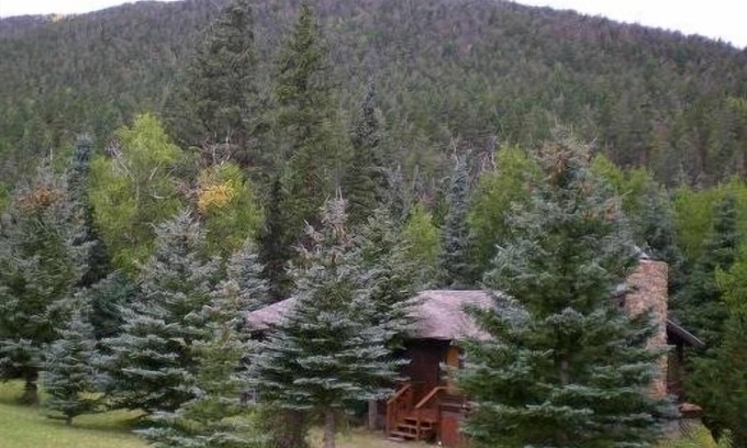 Cuchara Cabin | Cabin Nestled in Pines-Valley View, Mtn Trails, Cucharas River