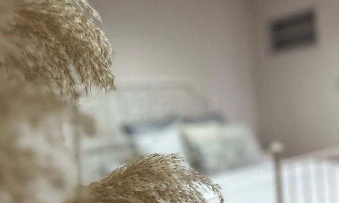Nasr City Apartment | Cairo City Spot - 2BR Apt Viewing Shams Club