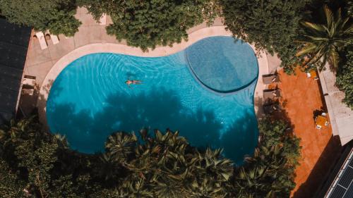 Playa Langosta Resort | Cala Luna Boutique Hotel & Villas