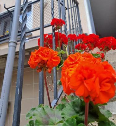 Sulzthal House | Camelia's Unterkunft