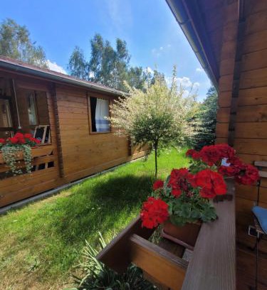 Trzebiel Cabin | Camping Family