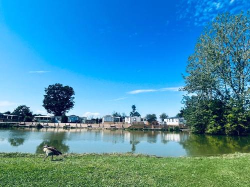 Steenvoorde Other | Camping Le Romantic