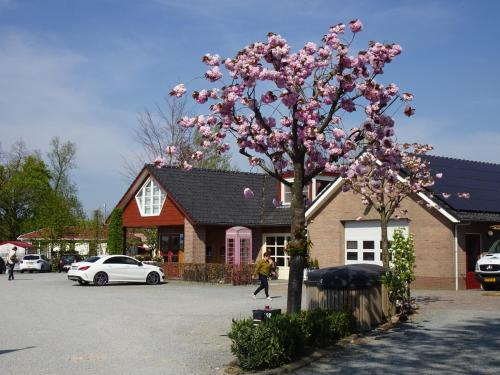 Municipality of Neder-Betuwe Other | Campingpark de Linie