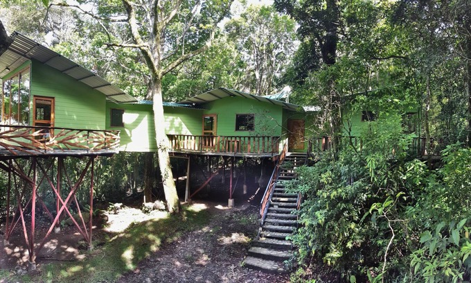 Monteverde House | Canopy Wonders House: A Place Among Tree Tops!