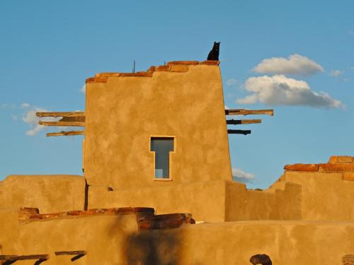 Lewis Resort | Canyon Of The Ancients Guest Ranch