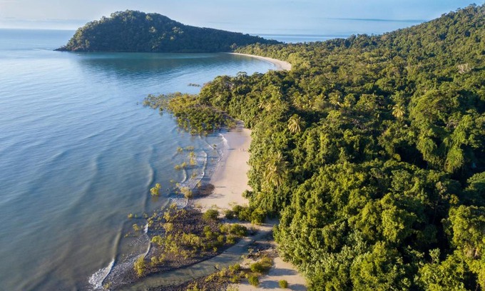 Cape Tribulation Resort | Cape Trib Beach House