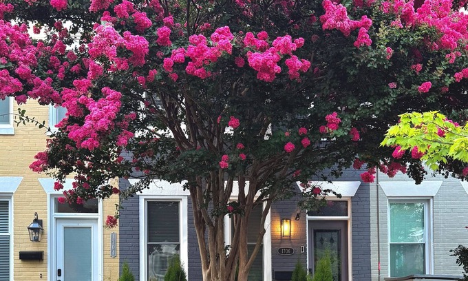 Hill East Bed & Breakfast | Capitol Hill B&B-Steps to Metro, Dining, & Museums
