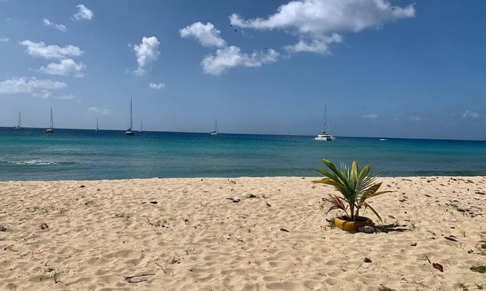 Frederiksted Southeast Apartment | Caribbean Gem ocean block in the center of town