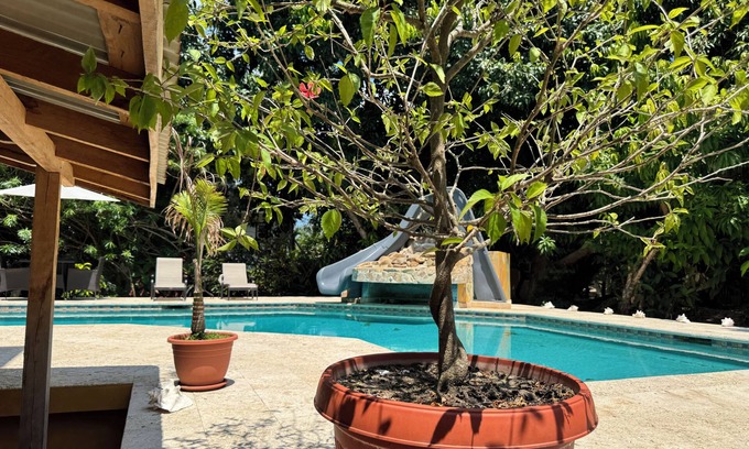Sittee River Village Bed & Breakfast | Caribbean Shores Bed & Breakfast