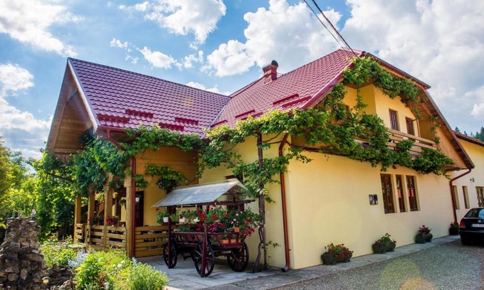 Sucevita House | Casa Andreea