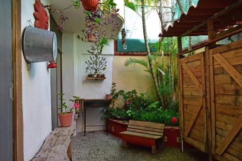 Palmar de Aramara House | Casa Aramara