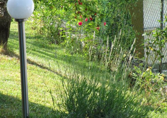 Mercatello sul Metauro Bed & Breakfast | Casa Balducci Bed&Breakfast