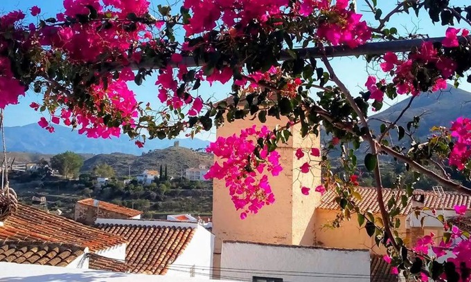 Bedar Bed & Breakfast | Casa Caballito De Mar Boutique B&B
