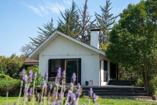 Maipu House | Casa Cielo en Chena Magica