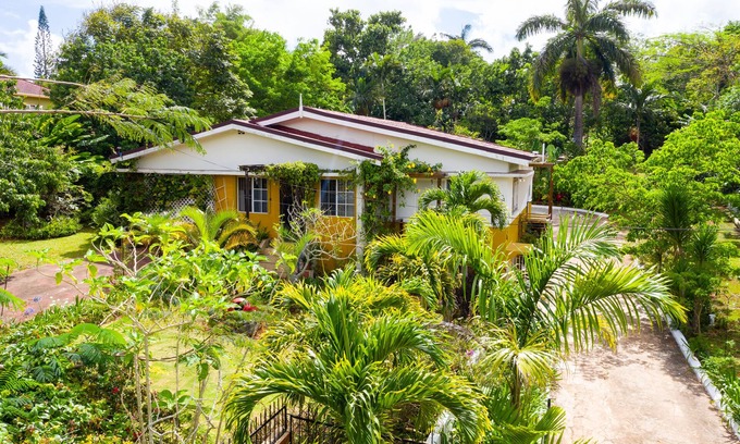 Mandeville Bed & Breakfast | Casa da Buena Vista