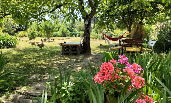 Mangualde Other | Casa das Palmeiras - Pedagogic Farm