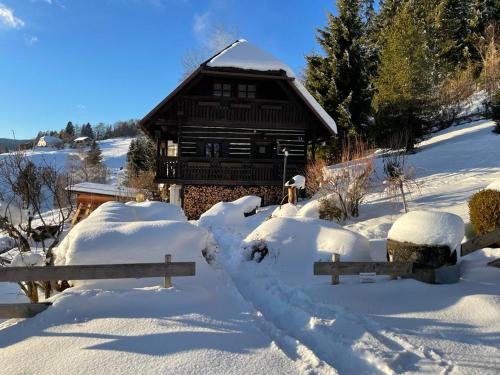 Untergreutschach Ski Chalet | Casa de montaña con vistas