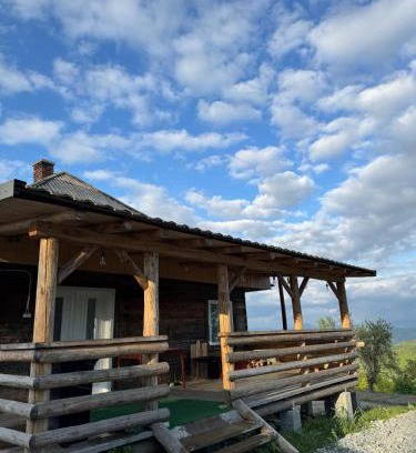 Ciuruleasa House | Casa de vacanta Anca