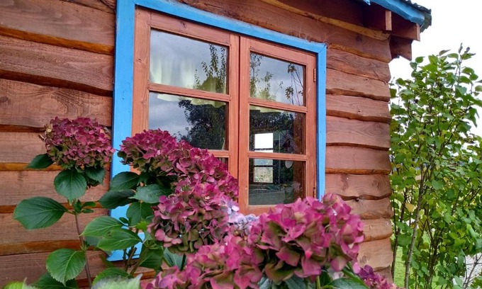Araucania Region Cabin | Casa del rio