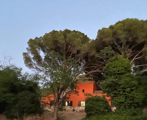 Cenicientos House | Casa en campo para desconectar en Madrid con Animales