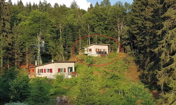 Mendola House | Casa Giovanazzi - Holiday home near the Passo Mendola