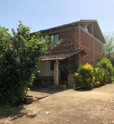 Sabaudia House | casa immersa nel verde