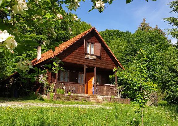 Cristian House | Casa Lacramioara