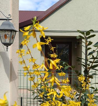 Timisoara Apartment | Casa Letea