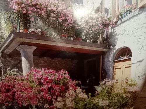 Badia Prataglia Apartment | Casa Letizia